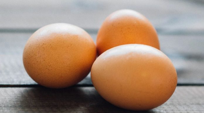 Vegane Alternativen für Ei